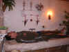 100_0010.jpg (90833 byte)