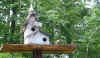 home.jpg (152121 byte)